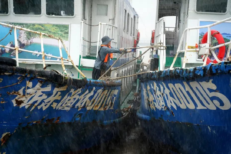 Dolphin Tayfunu Doğu Asya'yı Nasıl Etkiledi? Japonya'da Kesintiler, Çin'de Tedbirler